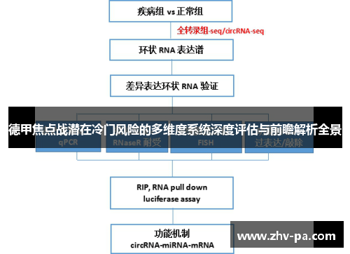 德甲焦点战潜在冷门风险的多维度系统深度评估与前瞻解析全景