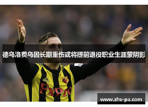 德乌洛费乌因长期重伤或将提前退役职业生涯蒙阴影 德乌洛费乌因长期重伤或将提前退役职业生涯蒙阴影